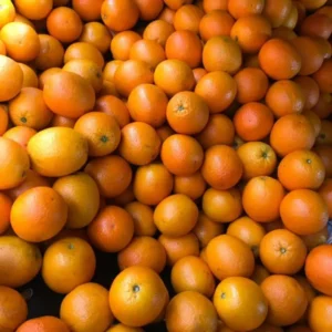 Fresh Oranges