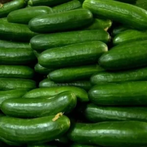 Fresh Cucumber
