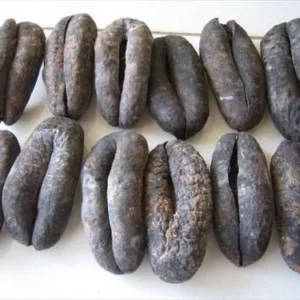 Dried Sea Cucumber